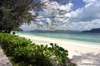 Coral Island Resort 